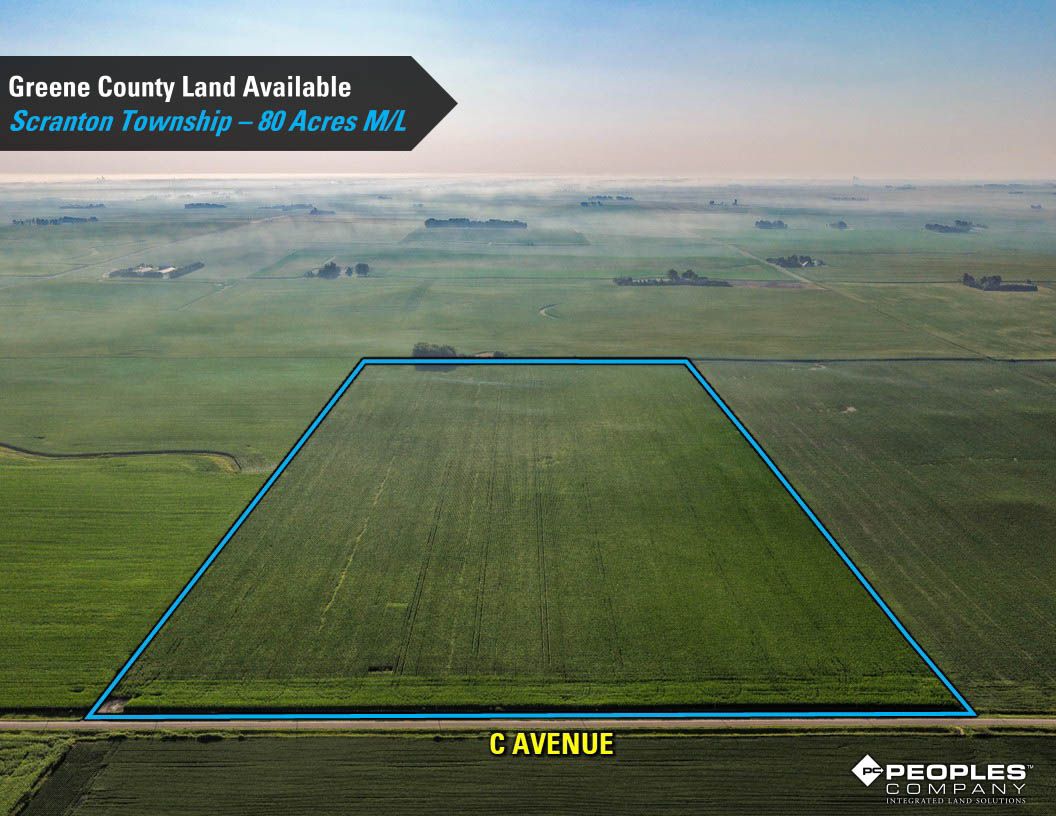 Listing Photo: Greene-County-Land-Available-Scranton-Iowa-80-Acres-19663 (19)